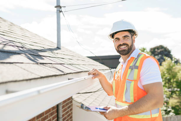 Best Chimney Flashing Repair  in Laguna Heights, TX